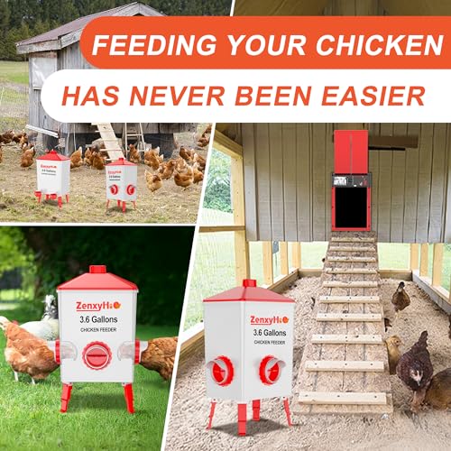 No Waste Chicken Feeders, DIY Automatic Poultry Feeder - 6 Ports Red | Buckets Barrels Bins Troughs‑mountable Design for common Breeds of Chicken Flock with Hole Saw - size: 6 Ports