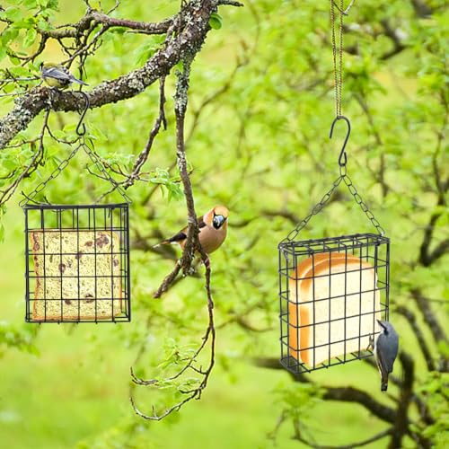2-Pack Suet Feeder for Wild Birds, Hanging Bird Feeder Cage with Double-Latch, Heavy Duty Suet Holder for Cakes, Outside Suet Bird Feeder for Woodpeckers, Tits & Swallows