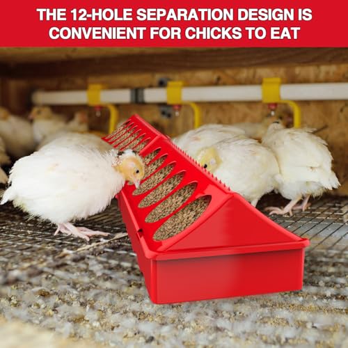 Chicken Brooder Box Starter Kit, 10.6 ft³ Indoor Brooder for Chicks, Ducklings & Quail, Stainless Steel Frame, Waterproof Oxford, 75W Heat Lamp, Feeder, Waterer & Perch, 47.2"x19.7"x19.7" - color: Set2-Grey