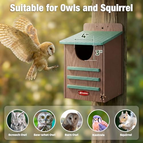 Kingsyard Large Recycled Plastic Wooden Owl House, Waterproof Screech Owl Bird Boxes for Outside, Owl Nesting Box Kit with Screws Ideal for Wildlife, Elf, Pygmy, Garden, Air Ventilation. Green
