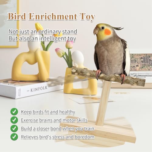 Natural Wood Bird Perch Stand, Rocking Perch for Bird Stand Swing (Small) | Intelligence Puzzle Training Wood Parrot Tumbler Toy,Playstand Birds Accessories for Parakeets,Cockatiels,Budgies,Conures - size: Small