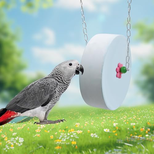 Bird Beak Grinding Stone – Large Blue Cylinder Parrot Chew Toy with Metal Hanging Chain – Cage Accessory for Macaws, African Greys, Cockatiels & Medium to Large Birds - color: blue