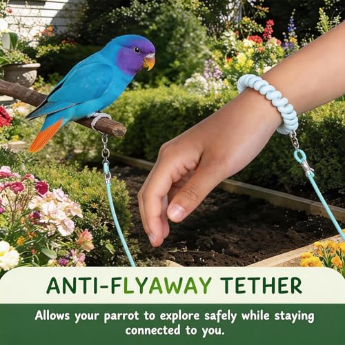 Bird Leash, 3-Meter Long, with Size 4 Foot Loop for Small Budgie and Lark, Lightweight Training Lead for Outdoor Use