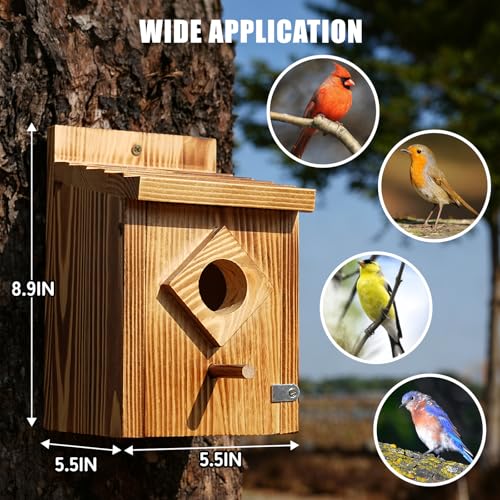 Waterproof Wooden Blue Bird House, Weather-Treated Bird Box for Outdoors | 1.5 Inch Entrance Diameter, No Assembly Required Design, Easy to Clean, for Wrens, Swallows, Finches, Chickadee - color: brown