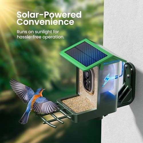Bird Feeder with Camera Solar Powered 2K HD Video, 10,000+ Species AI Recognition, Real-Time App Alerts, and Weatherproof Design for Effortless Birdwatching, Gift for Bird Lovers, Grass Green - color: Grass Green