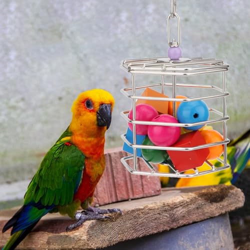 Hypeety Bird Foraging Toys Stainless Steel Foraging Basket Millet Holder for Bird Cage Unique Hanging Feeder for Macaws Cockatoos African Grey Cockatiel Conures Amazon Parrot(Feeder+Blocks) - size: Feeder+Blocks