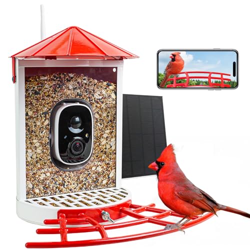 Smart Bird Feeder with Camera Solar, Auto Capture Bird Videos & Motion Detection, Birds Watching Camera Notify in Time, Metal Birds Feeder with Seed Guard, Ideal Present for Mom (Red) - color: Red