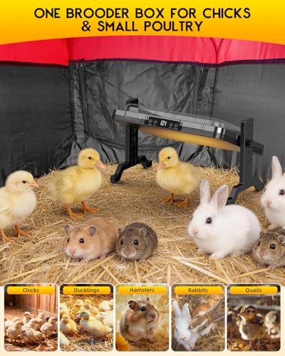 Magicfly Brooder Box for Chicks Starter Kit with 15 x 11 Inch Heating Plate | Chicken Brooder Tent with Chicken Perch, Feeder & Waterer, Holds Up to 15 Chicks, Duck, Quail - color: Complete Starter Kit(Heating Plate Included)