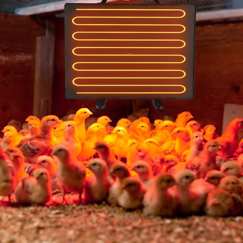 VIHOSE Chicken Coop Heater Chick Starter Kit Include 160w Adjustable Radiant Heat Panel 0.8 Gal Chicken Waterer and 2.9 Lbs Feeder and Chick Perch Flip Top Poultry Feeder