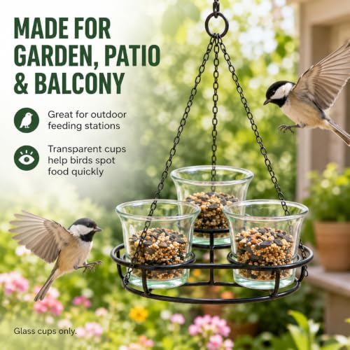 DECHOUS 3Pcs Replacement Glass Cups for Oriole Feeder Hummingbird Wild Bird | Outdoors Garden Balcony Patio Birds Feeding Accessories, Glass Jelly Feeder Cups for Oriole and Hummingbirds