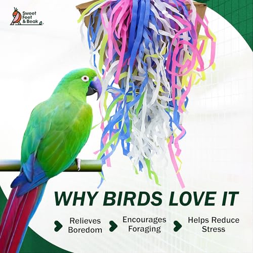 Sweet Feet and Beak Pizza Party Slice, 8" Bird Shredding and Foraging Toy | Food Grade Shred and Cardboard, Hanging Bird Toy with Nickel Chain and Quick Link. Hide Seeds, Pellets, or Treats, Bird-Safe
