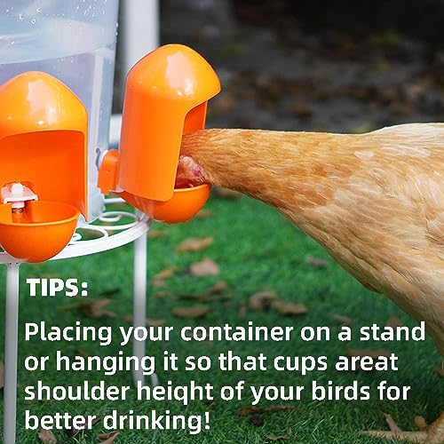 Large Chicken Waterer Cups Automatic with Anti-Roosting Cover | Poultry Waterer Cups Suitable for Chicks, Duck, Goose, Turkey and Bunny (5 Pack)