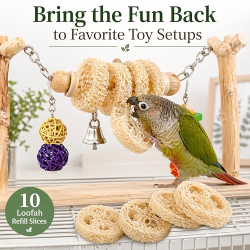 Parrot Shredding Chew Foraging Toys, 10pcs Loofah Chewing Parrot Toys, Bird Cage Shredder Toy, Bird Toy for African Grey Macaws Cockatoos Cockatiel Conure (10 Loofah Slices)