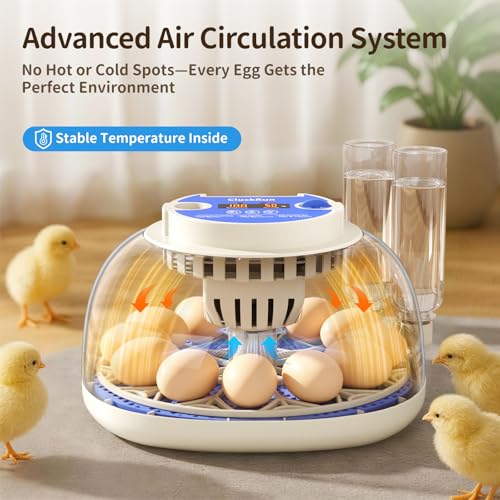 12 Egg Incubators for Hatching Eggs, Auto Turning, Temp & Humidity Control | Auto Egg Turning, Auto Water Refill, 360° Viewing Window, Built-in Egg Candler & Air Vents - color: Blue, size: 12 Eggs