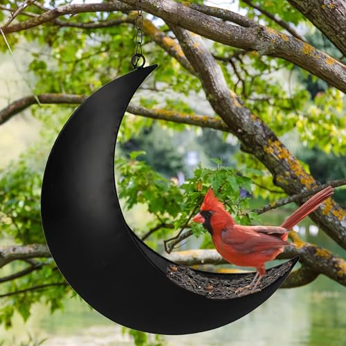 Hanging Moon Bird Feeder – Unique Metal Bird Feeders for Outdoors, Black Rust-Resistant, – Wild Bird Feeder for Bluebirds, Cardinals, Finches, and Backyard Birdwatching (Black) - color: Black