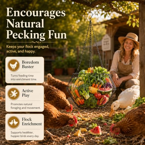 Hanging Chicken Feeder, 9.25IN Large Foldable Poultry Feeder Vegetable Fruits Basket with 4pcs Hanging Stainless Chain, Chicken Treat Holder Ball Boredom Toys for Chicken Hens Duck Coop, Black, 1 Pack - size: 1 Pack