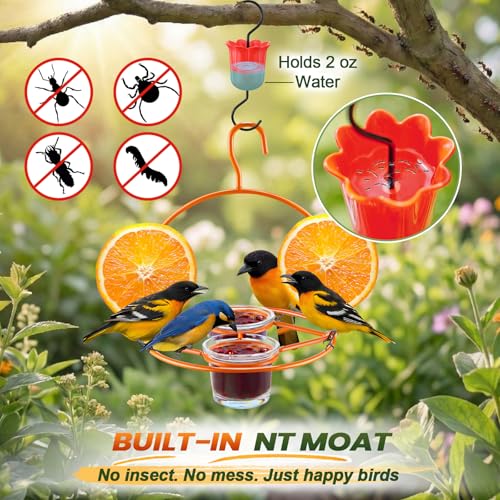 2 Pack Oriole Bird Feeder for Outdoors Jelly and Oranges, Hanging Oriole Feeder with Ant Moat & 2 Glass Cups & Cleaning Brush & Screwdriver, Metal Bird feeders for Outdoors for Jelly Nectar (2 Cups)