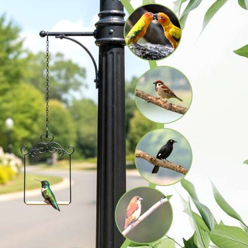 3 Pcs Black Metal Frame Hummingbird Swing, Bird Swings with Wooden Dowel and Chain, Hummingbird Perch, Hummingbirds Accessories for Hanging Indoor, Outdoor, Lawn, Patio, Garden