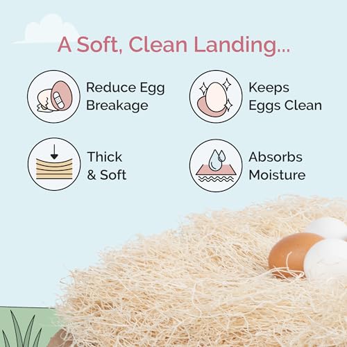 Chicken Nesting Pads (40 Pack) USA Grown, 100% Biodegradable, Sustainably Harvested, Aspen Excelsior Pads, 13"x13", Chicken Nesting Box Pads - size: 40 Pack