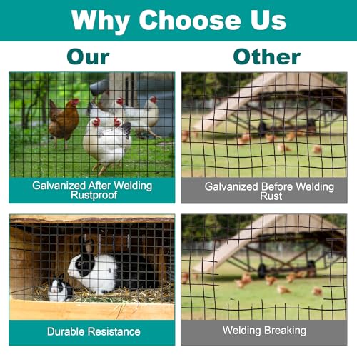 Black Hardware Cloth, 48'' x 100' 1/2 inch 19 Gauge, Chicken Wire Fencing, Welded Wire Fencing, Wire Mesh Roll, Cage Wire, Garden Fencing, Wire Cloth, Animal Enclosure & Garden Protection