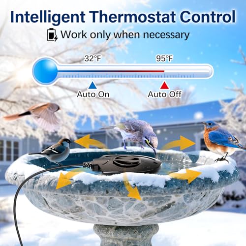 100W Bird Bath Heater, Birdbath Heaters for Outdoor Bird Bath Water Heater in Winter Submersible Thermostat Control, Heated Bird Bath Deicer for Outside Bird Chicken Poultry Livestock (Black) - color: Black