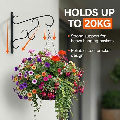 Curved Scroll Metal Wall Bracket for Hanging Accessories and Flowerpots Suitable for Indoor & Outdoor Use, Black Set of 2 - color: Black, size: Curved Scroll