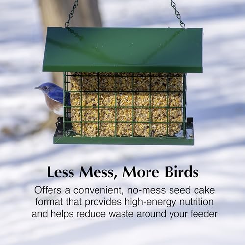 C&S Songbird Snak Seed Cakes for Wild Birds, Suet Nuggets | Bird seed cake with black oil sunflower seed, peanut suet nuggets, year-round feeding with less mess and waste