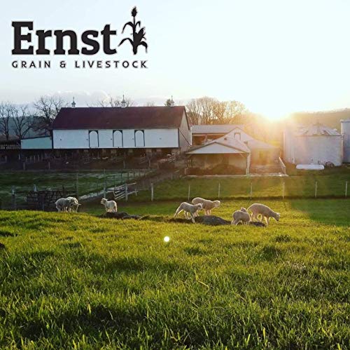 Ernst Grain & Livestock's Bird and Wildlife Feed – Perfect for Birds, Ducks, Squirrels, Turkeys, Rabbits, Geese, and Deer – Non-GMO Wild Animal & Bird Feed for Outside Feeders (46 Pound) - size: 46 Pound (Pack of 1)