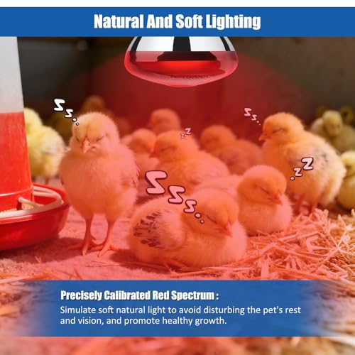 250W Heat Lamp Bulbs 1 Pack Infrared Heat Lamp for Chickens with E26 Socket and 5000 Hours Lifespan Heat Light Bulb for Pets Chicks Reptile Food Service Brooder Coop(2 Pack) - size: 2 Pack