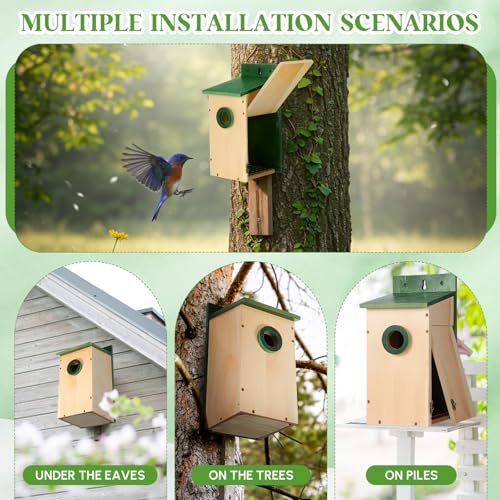 2 Pack 12" H Cedar Bluebird Houses for Outside Wooden Predator Guard Bird Nesting Box with Secure Latch Air Vents Clear View Panel Outdoors Bird House for Bluebird Wren Swallow Finch