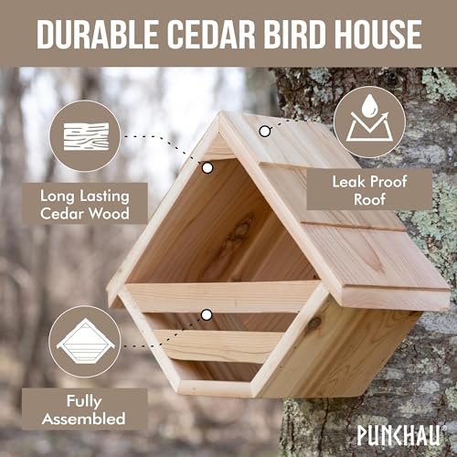 Cedar Mourning Dove Nesting Box, 14L x 11H x 6W Inch, Outdoor | Natural Rough Cut Cedar Bird House, For Doves Nest