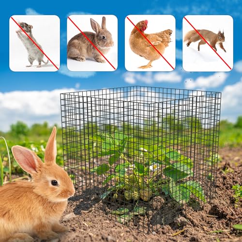 UNIFAMILY 8Pcs Plant Protectors from Animals, 2 Pack Metal Wire Plant Cage, Garden Protector Cage from Deer, Mesh Garden Protector from Rabbits, Chicken Wire Plant Covers from Animals - size: 8 Pcs Plant Protectors