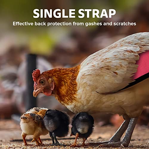 Single Strap Chicken Apron/Saddle, X-Large, Awareness Pink - color: Pink, size: X-Large