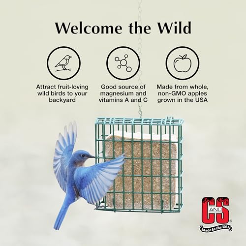 C&S Apple Suet Treat, Suet Cakes for Wild Birds, Pack of 8 | Suet cakes for woodpeckers, made with real apples, use in a suet feeder year-round - style: Apple, 8 Pack