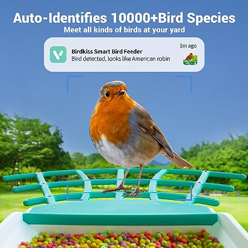 Smart Bird Feeder Camera with Solar Panel - AI Identifies Bird Species, Auto Captures Videos & App Notifications, Includes 32GB SD Card - color: Light Blue, size: Basic