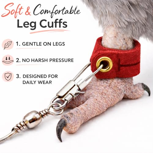 Bird Harness Leash Anti-bite Outdoor Red Flying Training Rope with 5pcs Different Sizes of Soft Foot Loops and Training Whistle(Upgraded Version of Ankle Ring)
