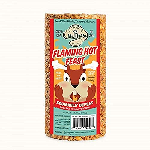 Mr. Bird Flaming Hot Feast Spicy Bird Seed Cylinder, 1-Pack, 1 lb 3 oz | Premium Blend of Mealworms, Peanuts & Hot Pepper | Squirrel Repellent | Handcrafted in Texas - size: 19 Ounce (Pack of 1)