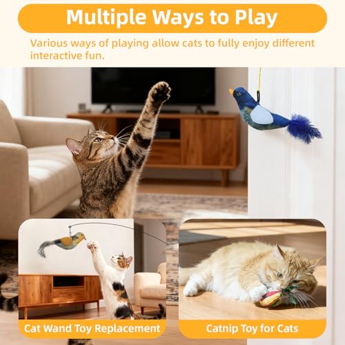Tocirelo Interactive Hanging Cat Toy Bird with Catnip Feather, Door Cat Toy | 3Pack Realistic Interactive Motion Activated Chirping Bird for Indoor Cats, Bored Kitten Kicker Chase Exercise Door Frame Toy - style: Mult-Bird Cat Toy