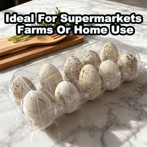 Plastic Goose Egg Cartons Cheap Bulk Empty Clear Large Duck Eggs Tray Holders Box for Farm Reusable Storage Container (20, 2×5)