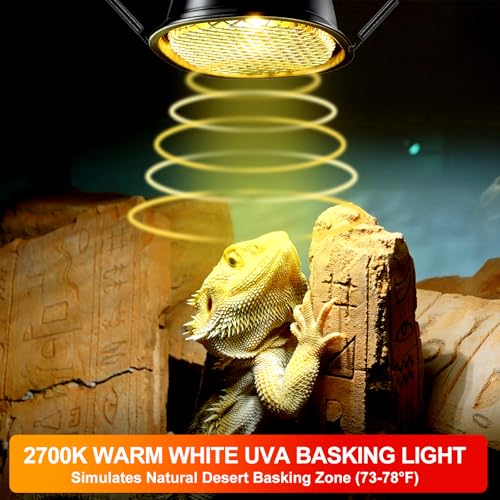 REPTI ZOO G9 Reptile Heat Lamp Bulb & Reptile Light Fixture with Safety Mesh Kit, 50W UVA Basking Light Fixture for Bearded Dragon Gecko Lizard Turtle Snake Chicken, Low Profile Warm White Heat Bulb