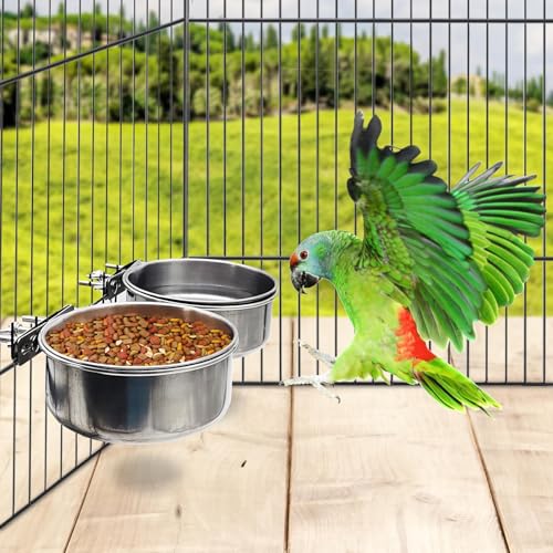 PINVNBY 2pcs Stainless Steel Bird Bowl - XL Water Dish for Parrot, Parakeet, African Greys, Conure, Cockatiels, Lovebird, Budgie, Chinchilla