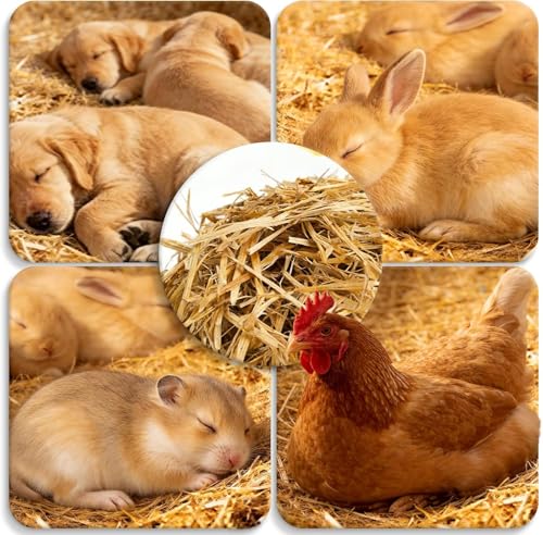 Natural Wheat Straw - Dry Clean Soft Bale for Stray Cats & Dogs Shelter, Chicken Coop Bedding, Garden Mulch & Weed Cover (1LB) - color: 1LB