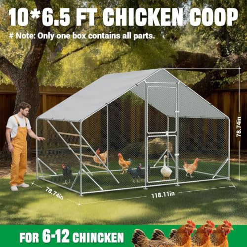 ACEPIC 10x6.5x6.5ft Metal Chicken Coop with Roosting Perch & Security Lock | Walk-in Poultry Cage with Waterproof & UV Resistant PE Top, Predator-Proof Hen Run - size: 118.11"L x 78.74"W x 78.74"H