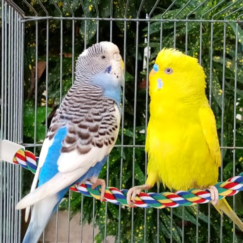 Parrot Rope Climbing Toy 18.5 Inch Cotton Rope Perch for Birds Cage Exercise and Chewing Toy for Parrots Cockatiels - size: 40cm