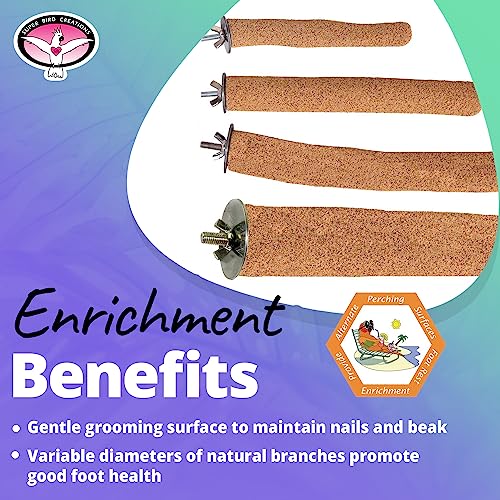 Super Bird Creations Sure-Grip Grooming Perch, Medium