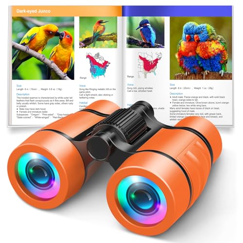 3-8 Year Old Boy Girl Toys: LET'S GO! Shockproof Binoculars for Kids Bird Watching 3 4 5 6 7 Year Old Boys Girls Outdoor Travel Toy for Kid Ages 4-7 Toddler Toy Binoculars Christmas Stocking Stuffers - color: Orange