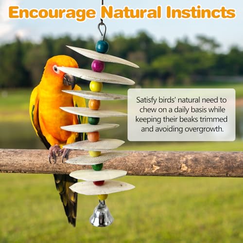 PINVNBY 2 Pack Natural Bird Toys with Cuttlebone Calcium Parakeet Chewing Toy Hanging Bird Beak Grinding Stone Cage Accessories for Parrot Budgie Lovebird Cockatiel (Large) - size: Flaky
