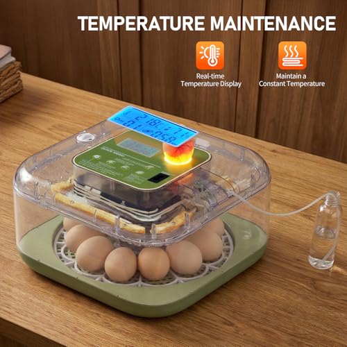 Winado 12 Egg Incubator with Temperature & Humidity Control | Automatic Egg Turning, Egg Candler, Automatic Water Filling, Day Counter