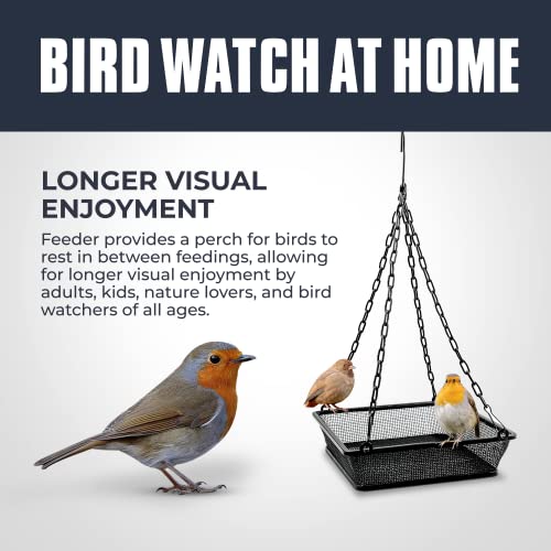 Monarch Abode Hanging Bird Feeder for Outdoors – Hanging Birdfeeder with Iron Mesh Seed Tray for Wild Birds, Matte Black Metal Decorative Wild Bird Feeder for Outside Garden Patio Deck Yard - color: Black, style: Mesh Bird Feeder