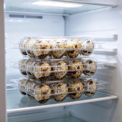 60Pcs Quail Egg Cartons,Square Dozen Egg Boxes 12 Grids Clear Plastic Quail Egg Cartons Stackable Trays for Quail Eggs, Pigeon Eggs, Small Poultry, for Home Fridge Storage, Farm, Market